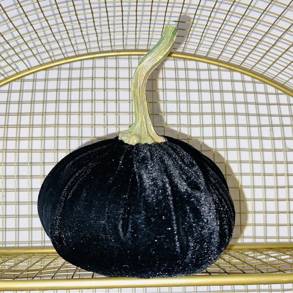 Pumpkin Velvet Decoration color black Weighted(0.11.3oz) 8"x 8” New without tag - Picture 14 of 15